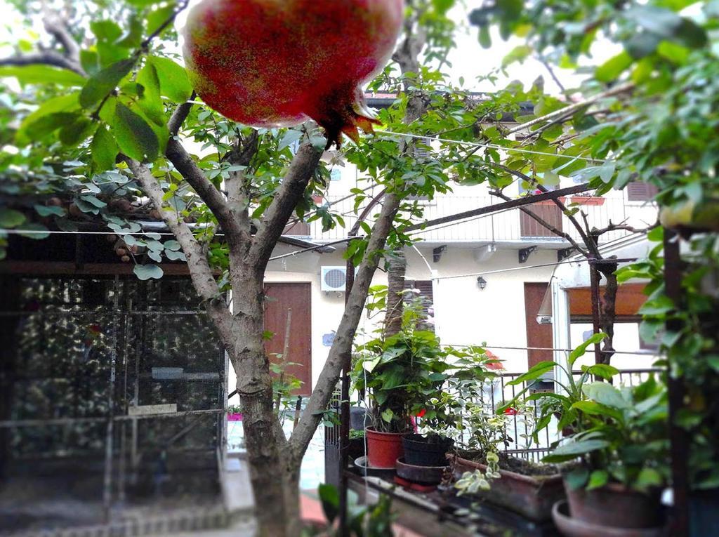 La Casa di Margit Apartment Nova Milanese Bagian luar foto